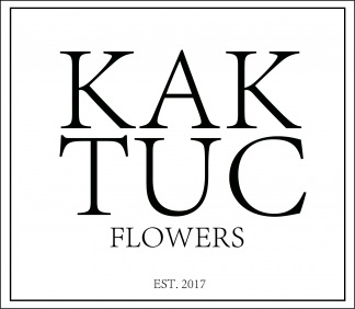 KAKTUC — логотип