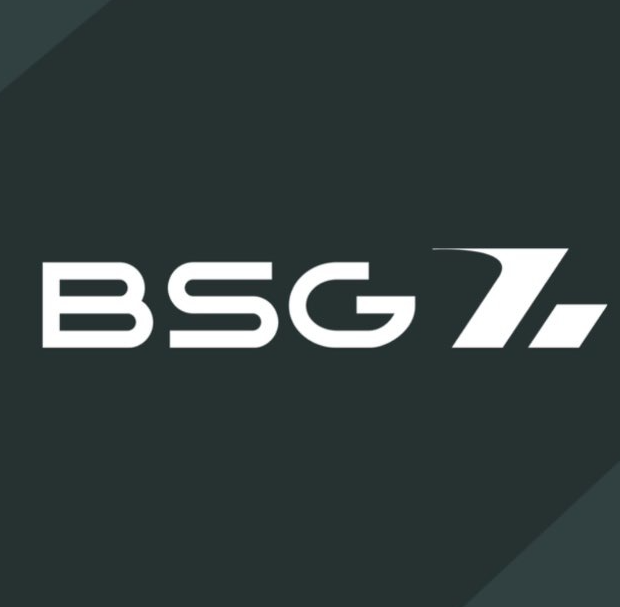 BSG GROUP — логотип
