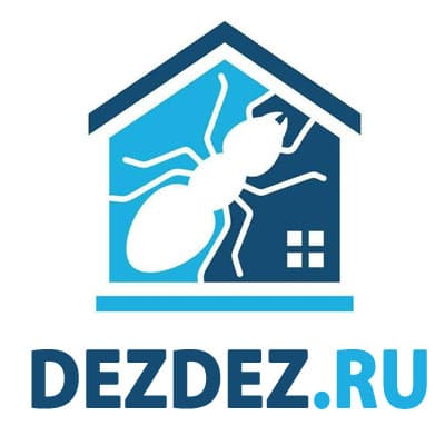 DezDez.ru (Челябинск) — логотип