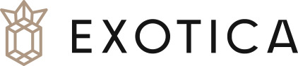 Студия Exotica — логотип