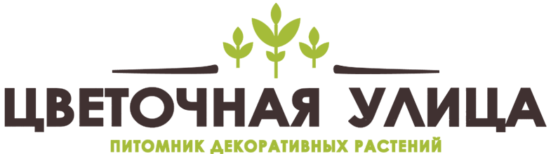 «Цветочная Улица» - питомник декоративных растений — логотип