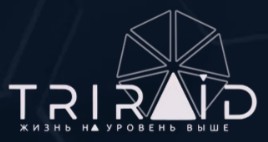 Triraid — логотип