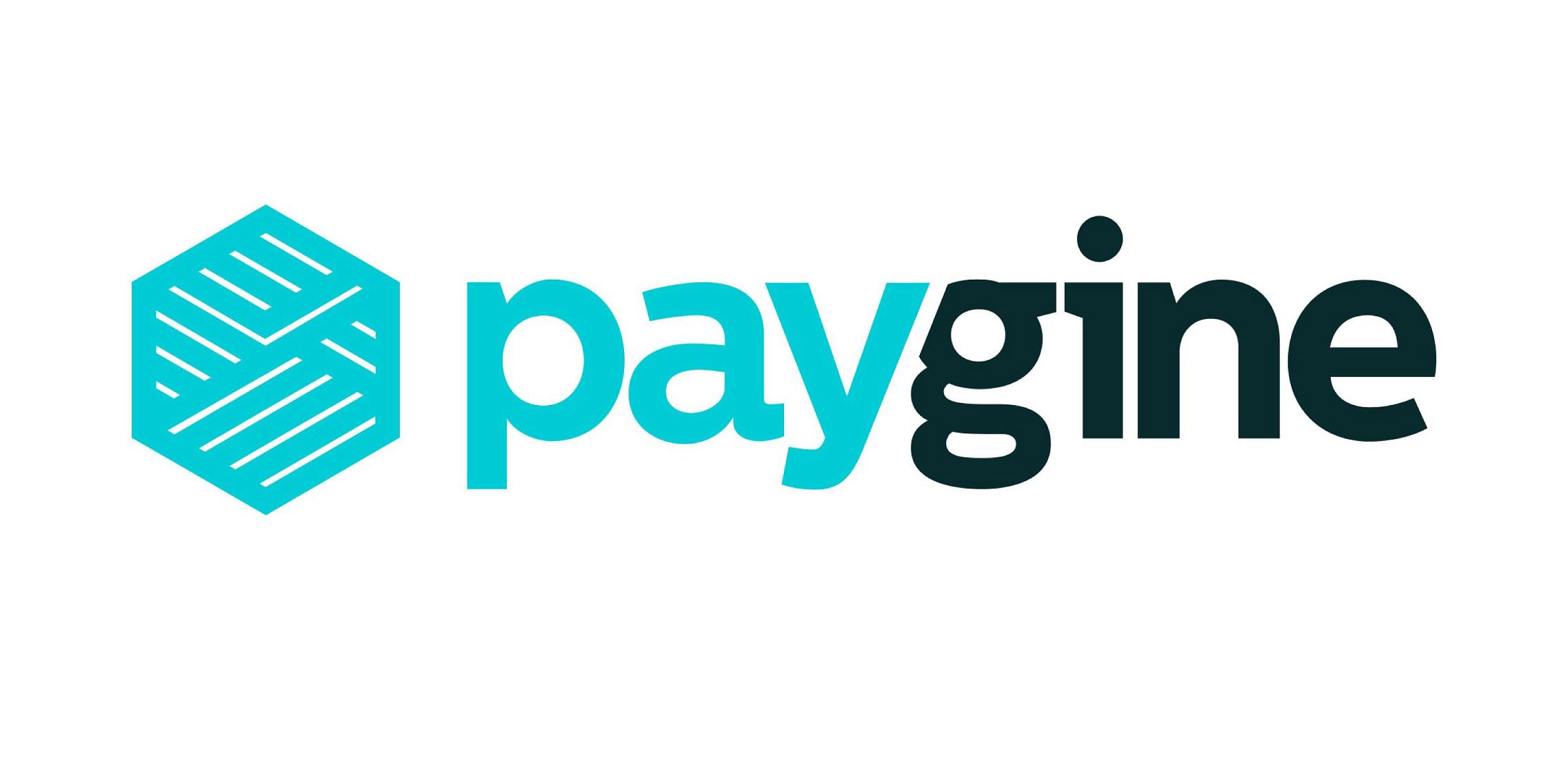Paygine — логотип