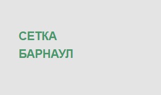 Сетка Барнаул — логотип