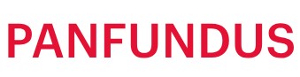 Panfundus — логотип