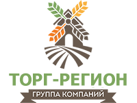 Торг-Регион — логотип