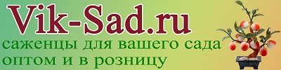 Интернет магазин VIK-SAD.RU — логотип