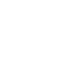 Нижегородский государственный технический университет им. Р.Е. Алексеева