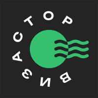 Визастор