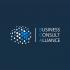 Business Consult Alliance